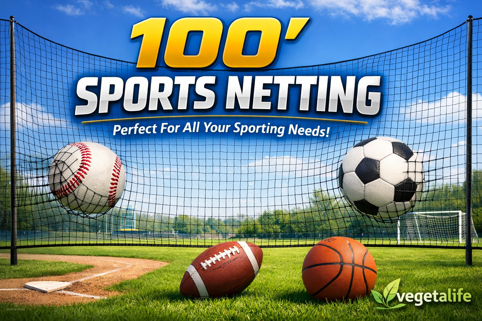 100' sports netting